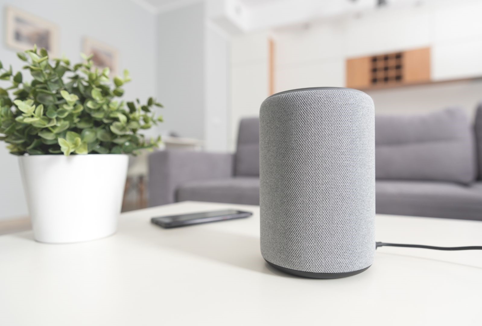 mesh wifi